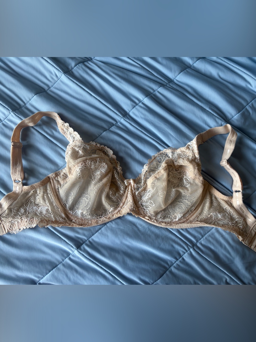 Paramour Lace Underwire Bra in Nude Beige